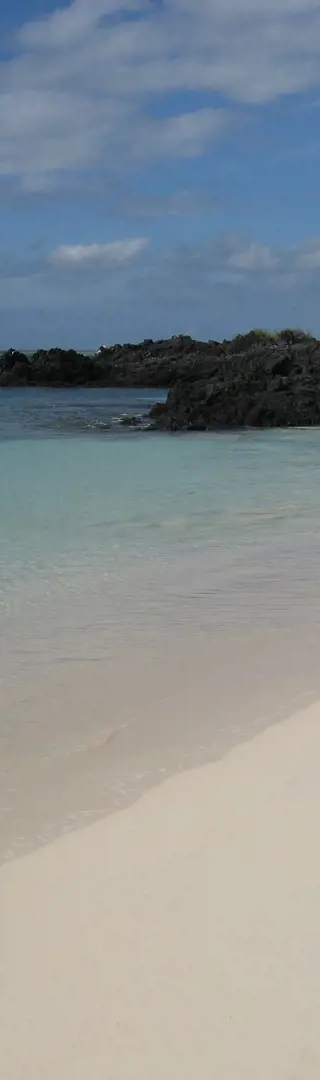 Santa Cruz
